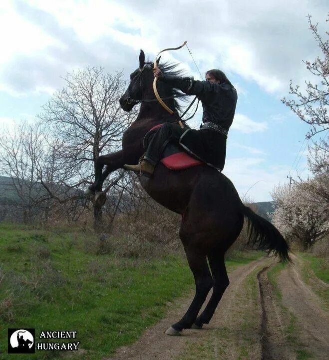 Подготовка к езде на лошади. Когда отмечают день лошади в разных странах. Человек на лошади. Праздник коня. Проскочу на коне весь день.