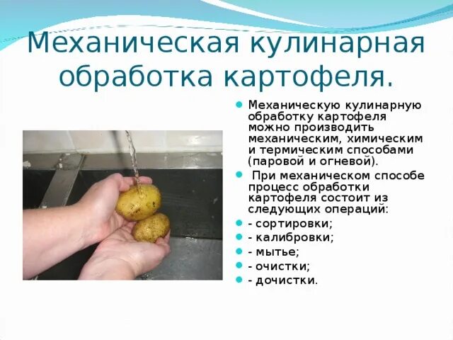 Мытье корнеплодов допускается. Как производят механическую обработку картофеля. первичная обработка клубнеплодов и корнеплодов. схема механической обработки клубнеплодов. механическая обработка картофеля схема.
