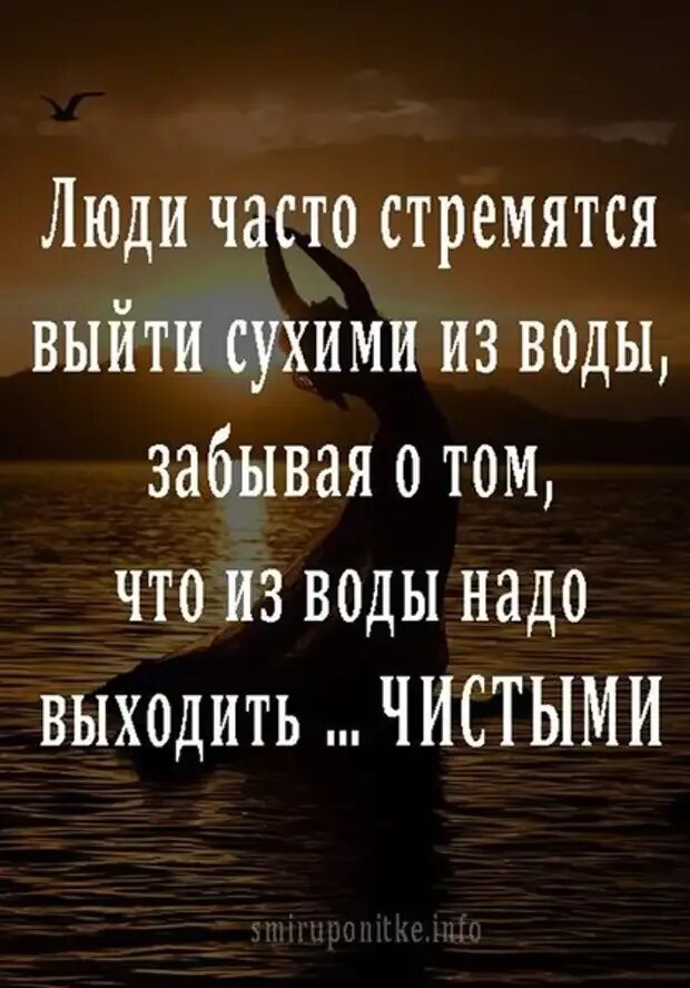 Люди часто стремятся выйти сухими из воды. Люди часто выходят из воды сухими. Каждый получает то к чему стремится. Человек получает то к чему стремится.