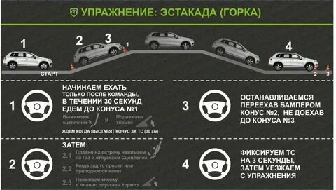 Сколько можно не ездить на машине