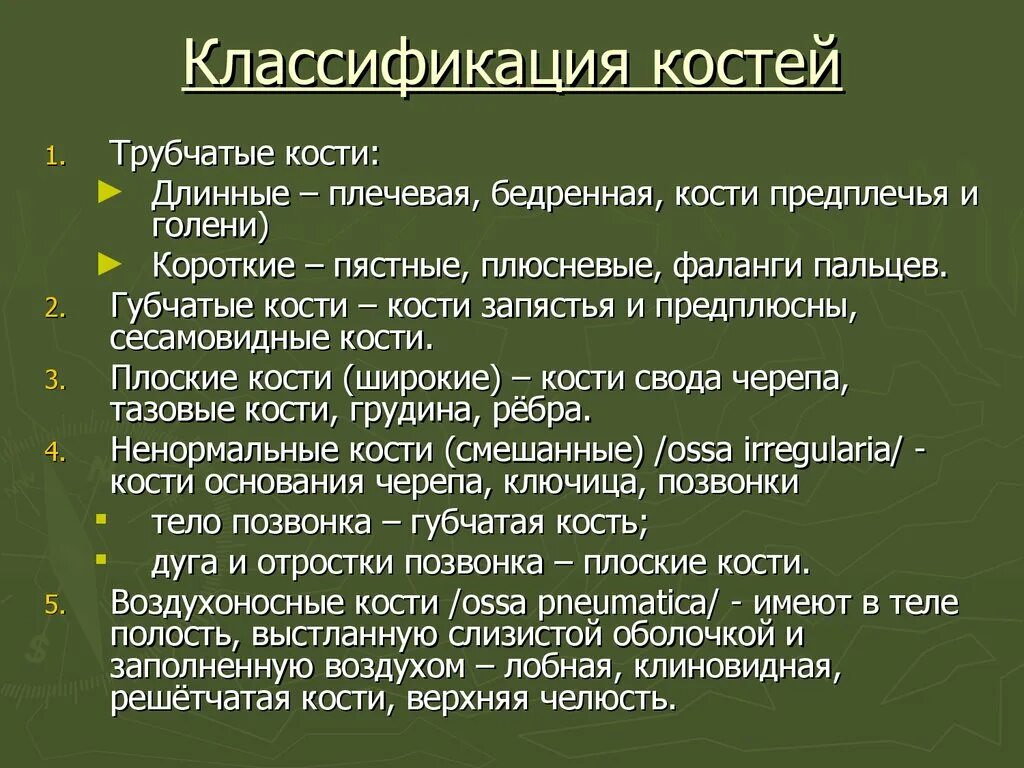 5 групп костей. Классификация костей по строению. Костсти классификация. Кости и классификация костей. Принципы классификации костей.