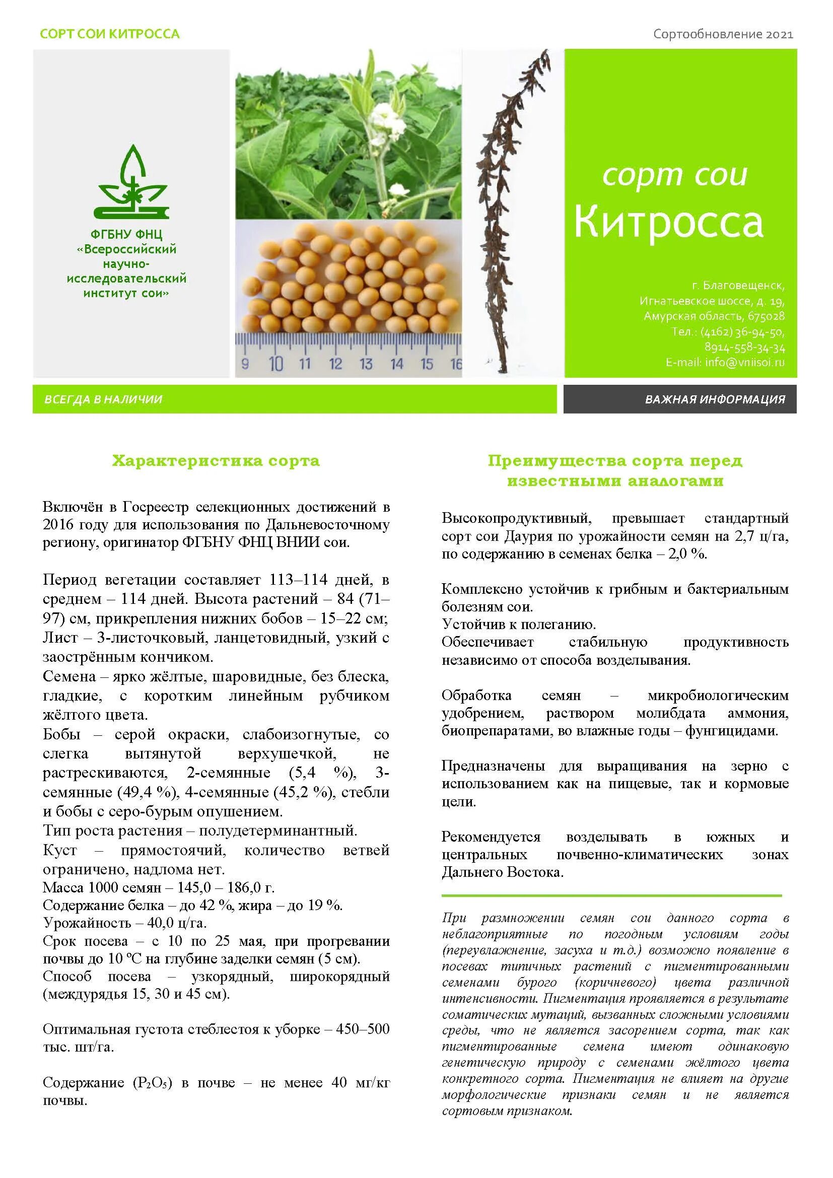 Соя описание сорта. Сорта сои. Соя описание сорта. Центр соя. Сорт сентябринка сои внии сои.