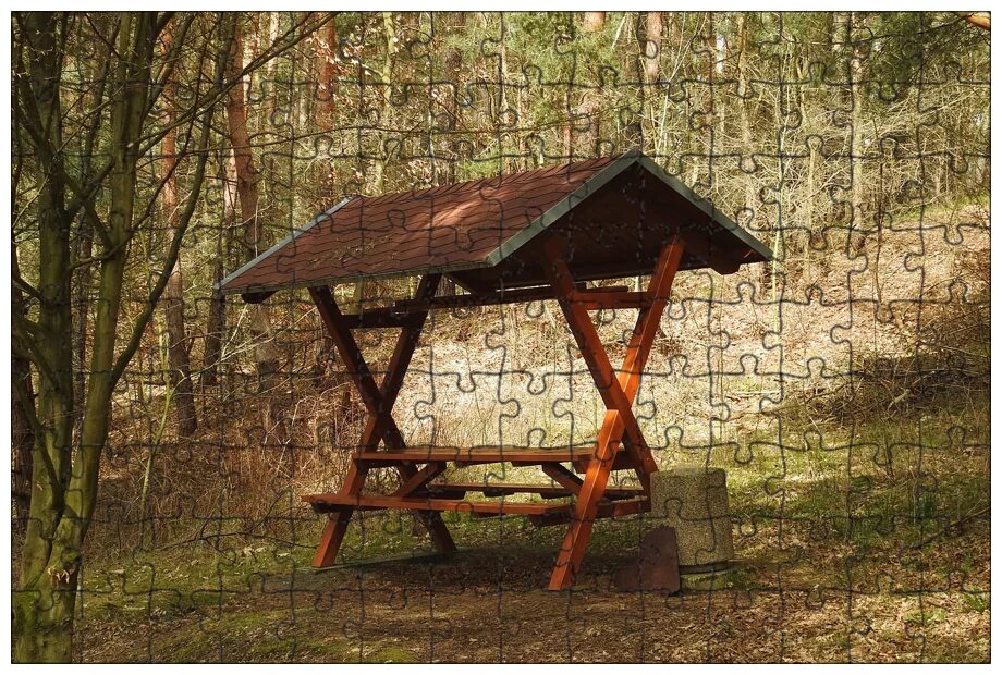 Лесные столики. Столик в лесу. Поляна для пикника. Место в лесу. Столик в лесу.