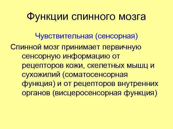 Каковы функции спинного. Функции спинного мозга. Функции спинногого мозга. Функции спинного мозга человека. Сенсорные функции.