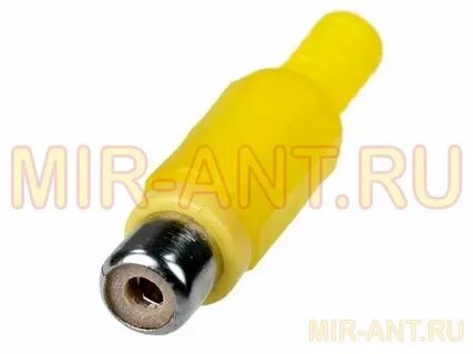 Rca тюльпан мама