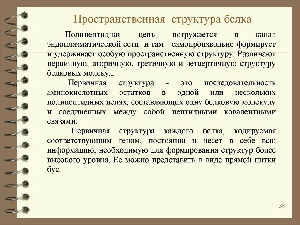 Пространственная структура белков. Третичная структура белка функции. Третичная и четвертичная структура белка биохимия. Пространственной структуры белков. Белок третичная структура.