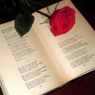 Музыка сердца вечная вечная вечная