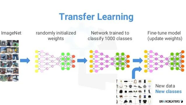 Transfer attributes. The transfer of learning. transfer learning &amp; fine-tuning. transfer learning машинное. трансферное обучение.