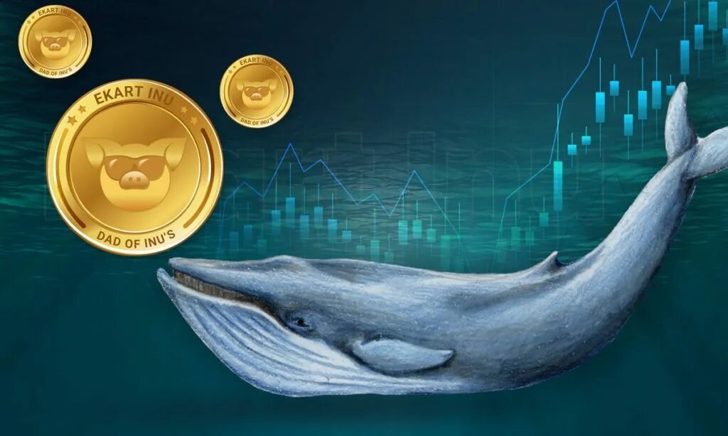 Top 10 bitcoin whales part