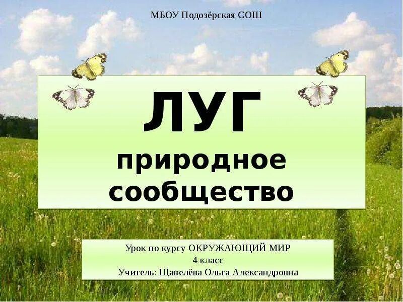 Луг природное сообщество 3 класс презентация