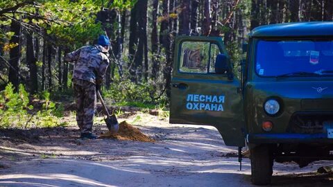 Погода в усть баргузине на неделю