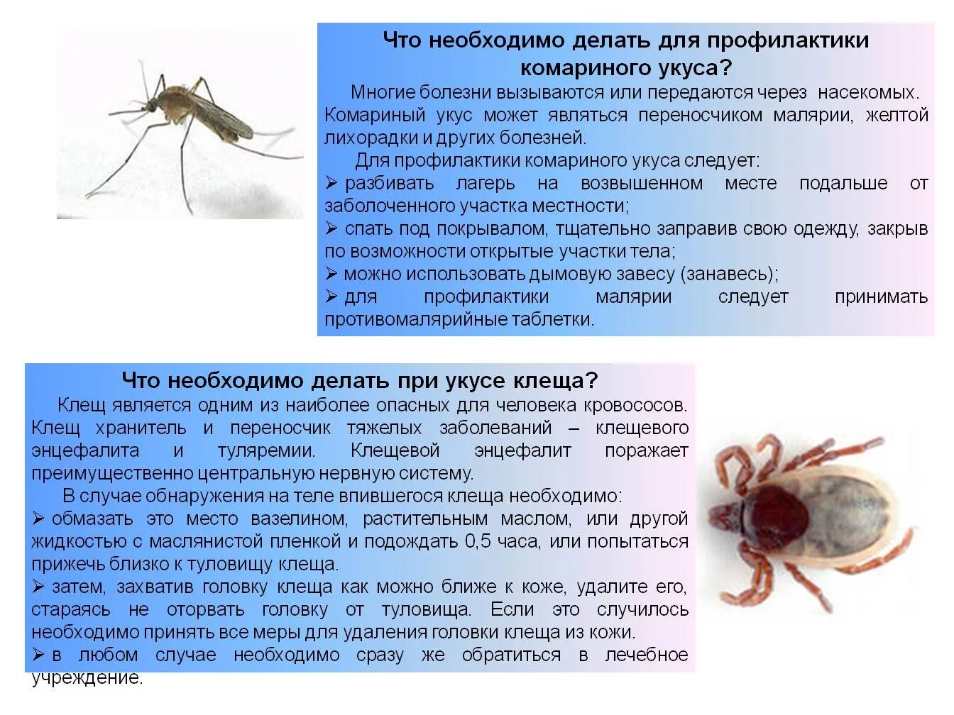 Почему необходимо бороться с комарами и клещами