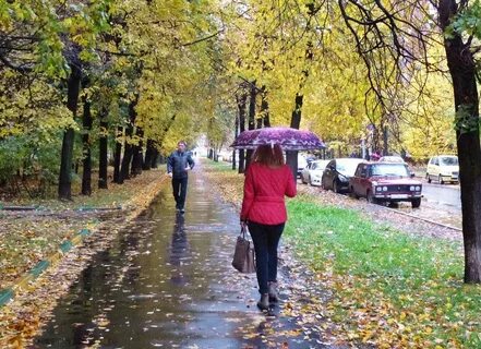 Город осень люди