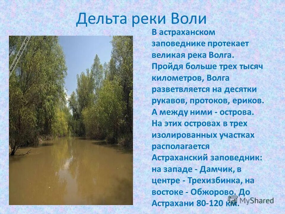 Проект великая река. Водные богатства Астраханского края. Водные объекты Астраханского края. Богатства Астраханского края. Дельта реки Волга Астраханская область.