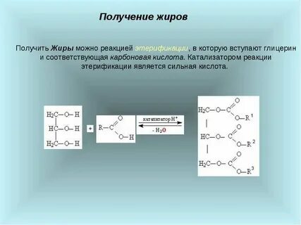 Жиры ускоряют химические реакции