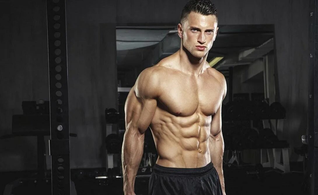 The word muscle