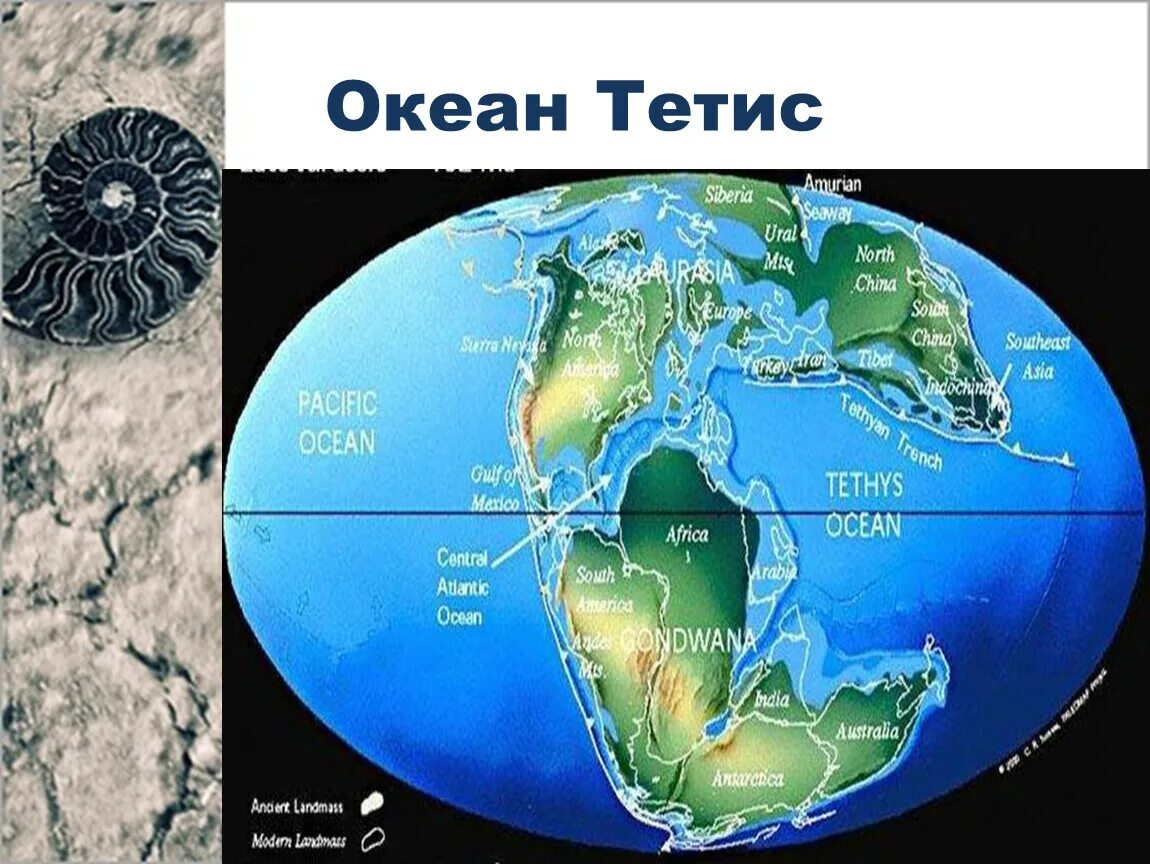 Океаны древности. Древний океан Тетис сейчас. Океан Тетис Лавразия. Древнее море Тетис. Океан Тесис.