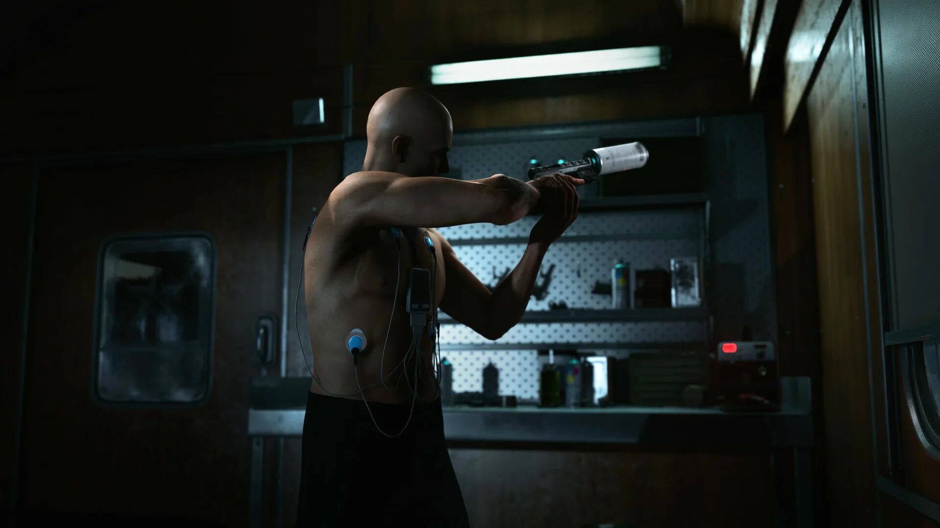 Hitman world of assassination стим. Хитман 3. hitman 3 carpathian mountains. hitman world of assassination локации.