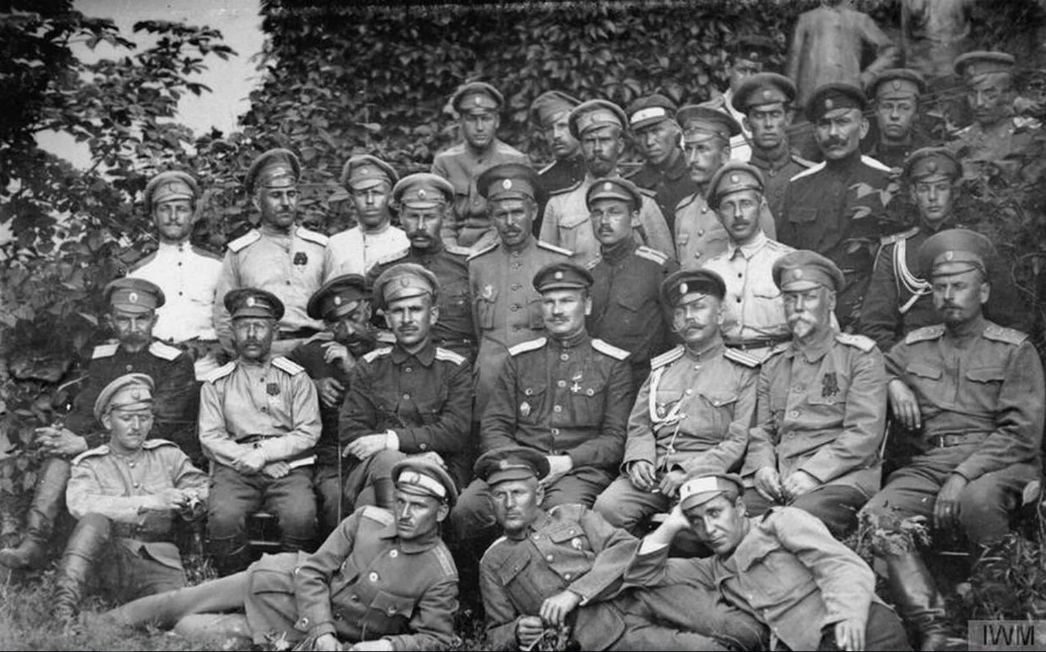 Белая армия гражданская. Офицеры Дроздовцы. Генерал Коновалов белая армия.