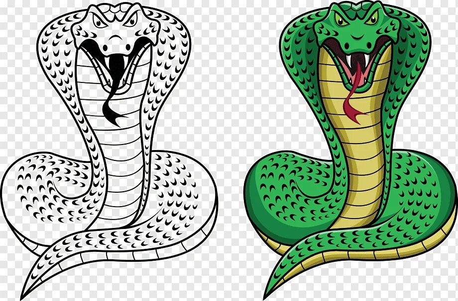 Простая змейка. Раскраска змеи Королевская Кобра. Королевская Кобра Нагайна. Змея Кобра Нагайна. Змея раскраска.