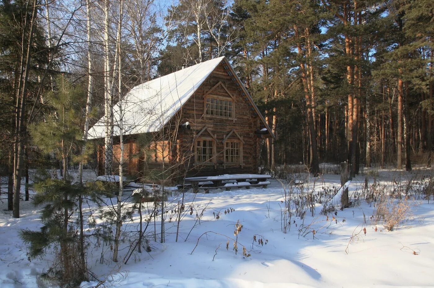 Река кедва республика коми. Лесной кардон. Лесной кардон. Бахчисарайский район лесной кордон. Избушки в сосновом бору ленинградская область.
