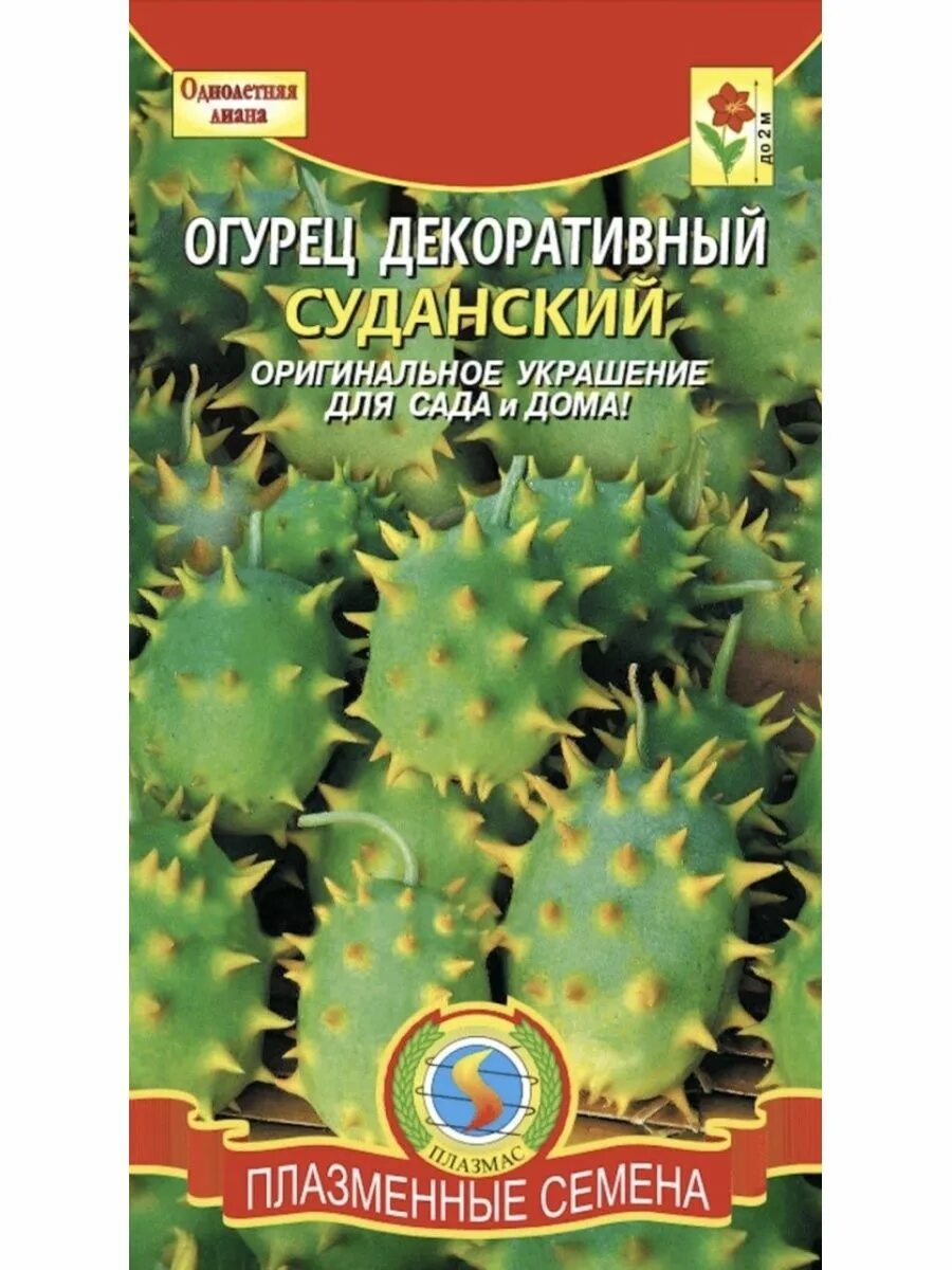 Декоративные огурцы фото - 72 картинки