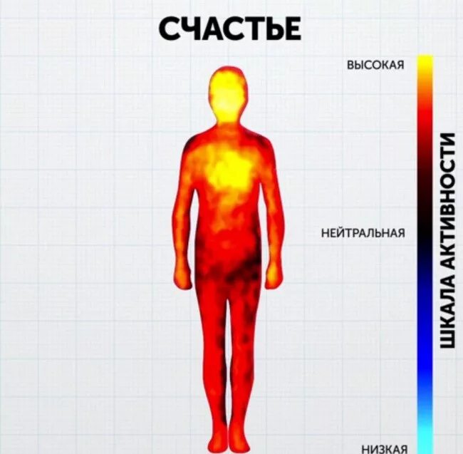 Восприятие температуры человеком. Тепловая карта эмоций человека. Температурная карта эмоций. Части тела и эмоции. Эмоции и температура тела.