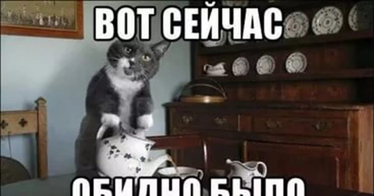 Котику обидно. Вот щас обидно было кот. Мемы с котами обидно. Обидно котик Мем. Обидно видео