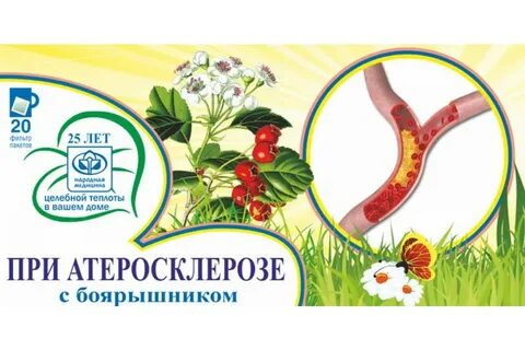 Травы при атеросклерозе сосудов