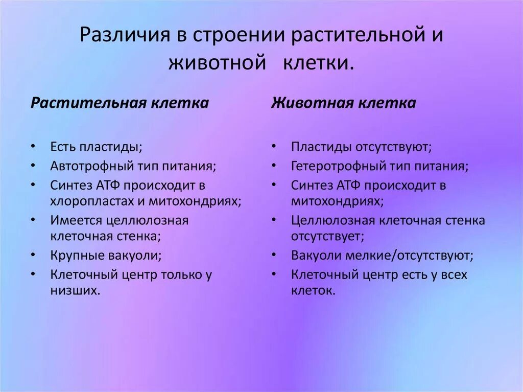 Строение клеток сходство и различие. Черты сходства и различия животной и растительной клетки. Растительная клетка и животная клетка сходства и различия. Различия в строении клеток растений и животных. Сходства и различия растительной и животной клетки.