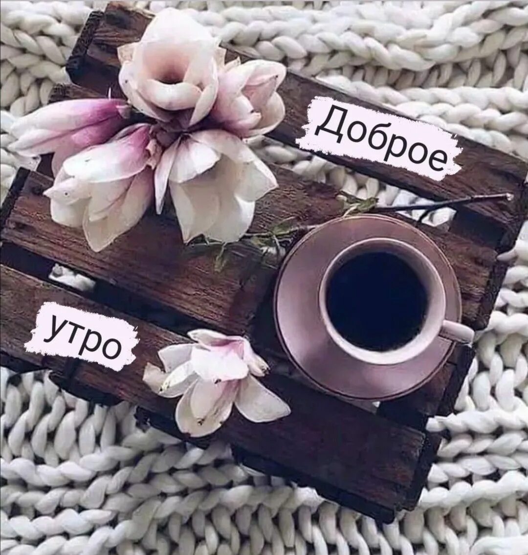 Все было необыкновенно в то утро. Все было необыкновенно в то утро