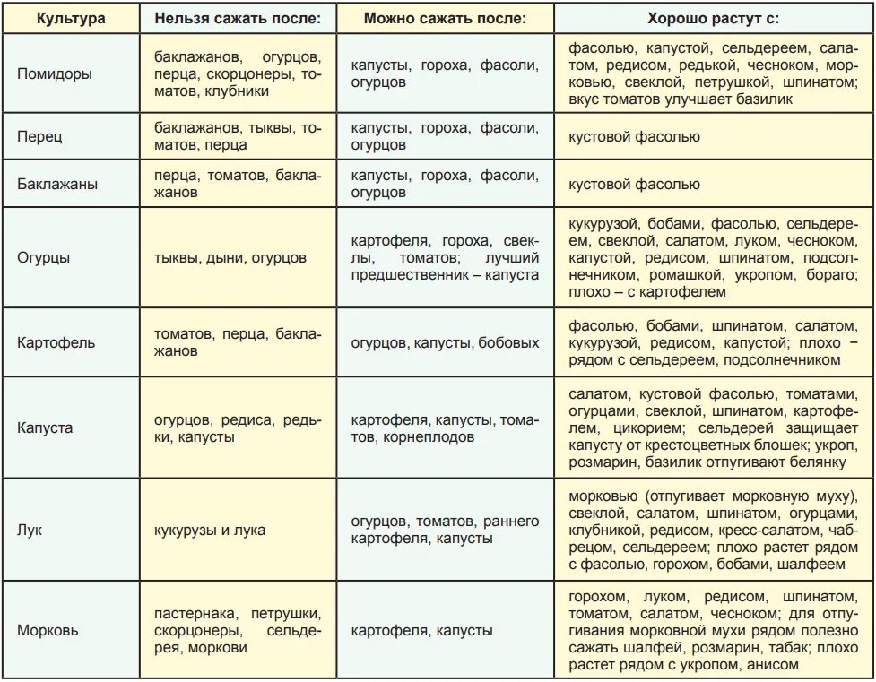 После каких культур можно сажать. После чего нельзя сажать томаты. После чего сажать чеснок. Что после чего можно садить. После чего можно посадить огурцы