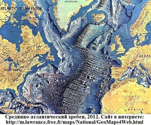 Крупнейшие элементы рельефа дна тихого океана хребты