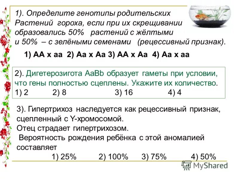 Родительская форма скрещивания гороха. При скрещивании гороха образующего