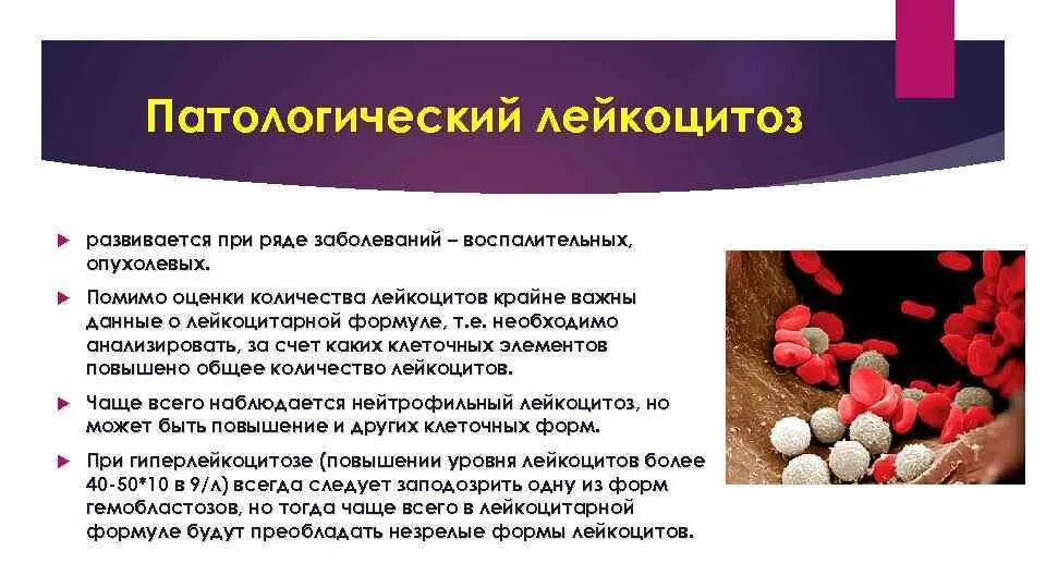 От чего могут быть лейкоциты