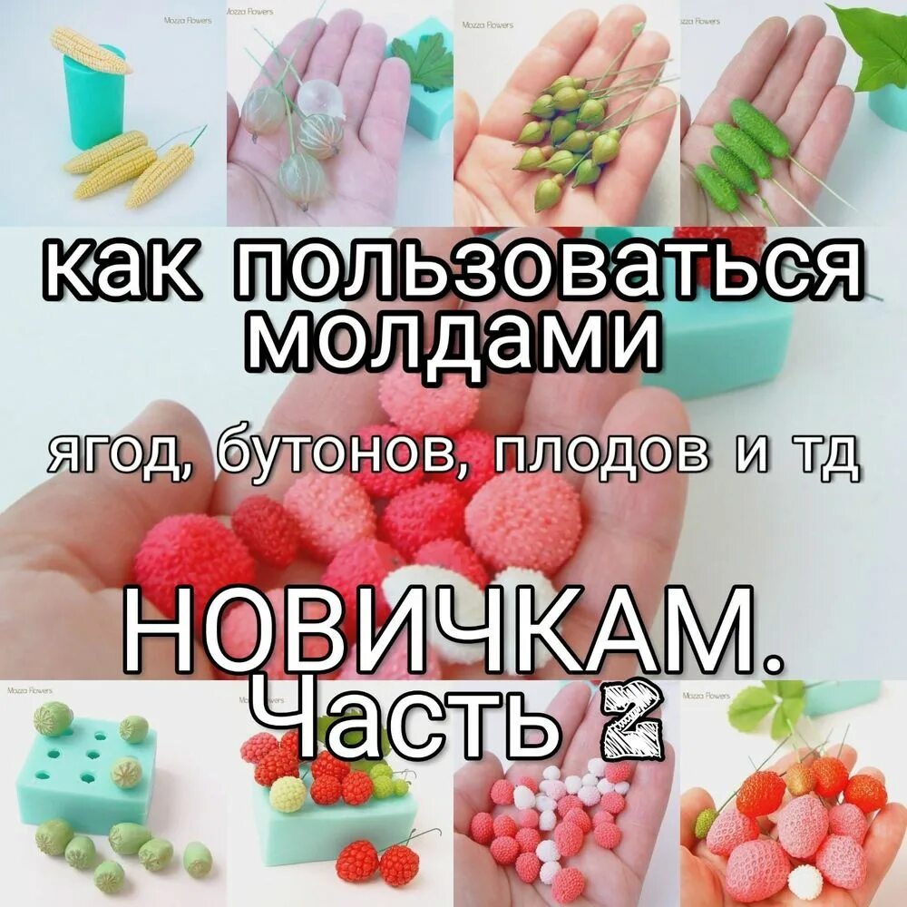 Как пользоваться молдом. Как правильно пользоваться молдами.