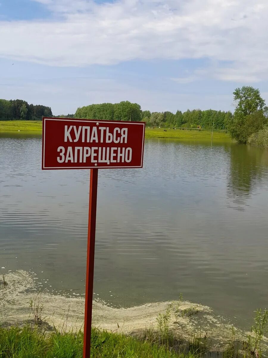 Место для купания. Купаться запрещено. Купаться запрещено и купаются. Запрещается купаться. Мутить воду.