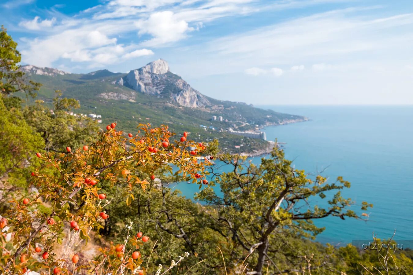 Южный край крыма. Горы море Крым Ялта Краснокаменка. Крымский полуостров Севастополь. Осенний Крым Ореанда. Осень виноградники Южный берег Крыма.