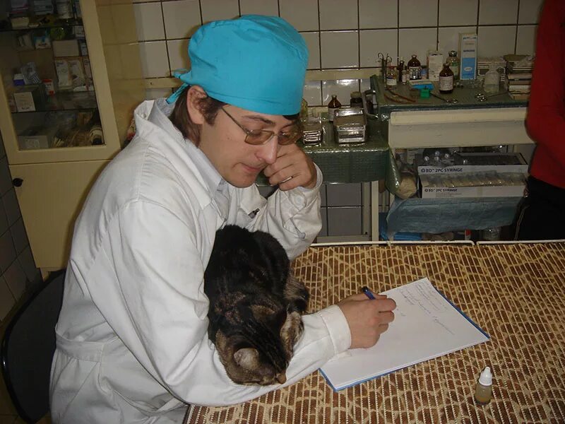 лучший ветеринар. пороховская 47 ветклиника. ветеринар ветеринарная клиника. ветеринар в современности. ветеринар.