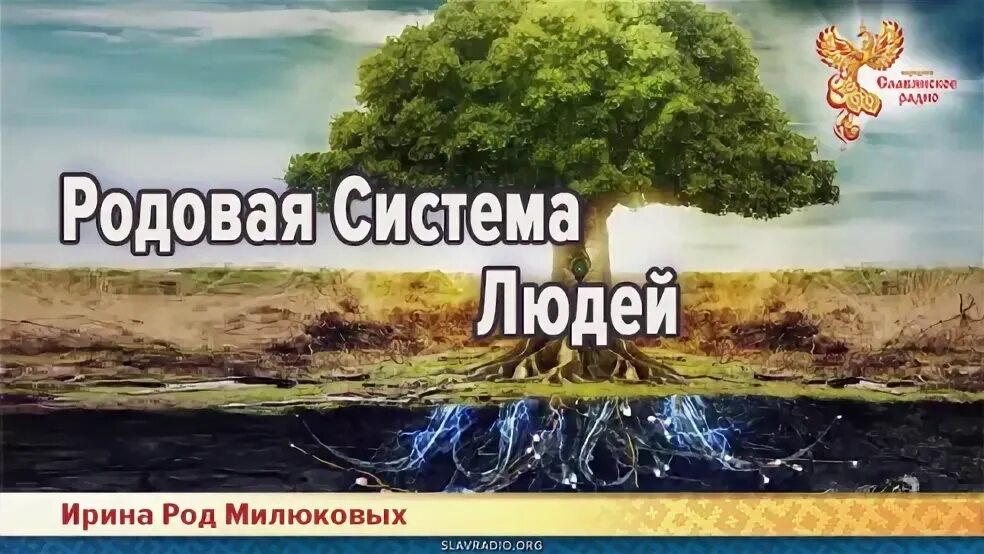 Родовая система в психологии. Первое поколение рода. Проработка рода. Родовая система расстановки. Законы рода.