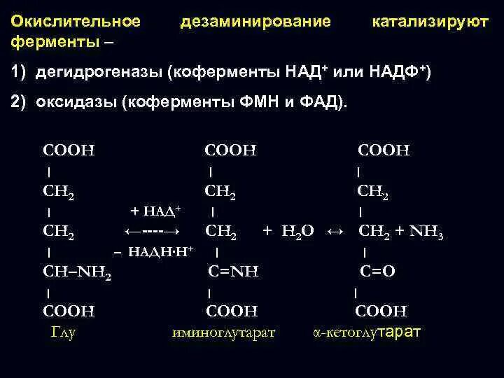 Ферменты окислительного дезаминирования. Окислительное дезаминирование. Реакция дезаминирования фермент. Ферментативное дезаминирование.