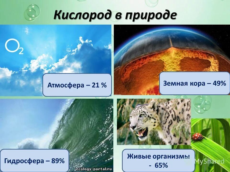 Воздух кислород 8 класс. Кислород в природе. Нахождение в природе кислорода. Нахождение в природе воздуха. Кислород в природе химия.