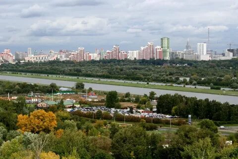 Кинки крылатское