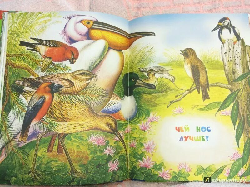 Иллюстрация к рассказу чей нос лучше бианки. "чей нос лучше?". Книга бианки чей нос лучше. Картинки чей нос лучше бианки. Картинки чей нос лучше бианки.