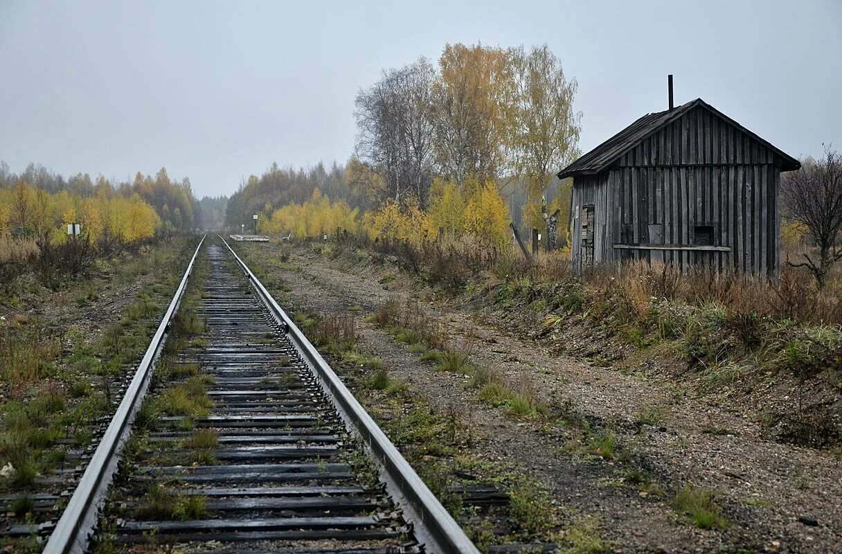 Пункта поселок. Посёлок Лесной Кировская область Верхнекамский. Станция Верхнекамская Кировская область. Станция Фосфоритная Кировская область. Поселок Фосфоритный Кировская область.