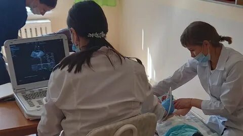 Узи диспансеризация