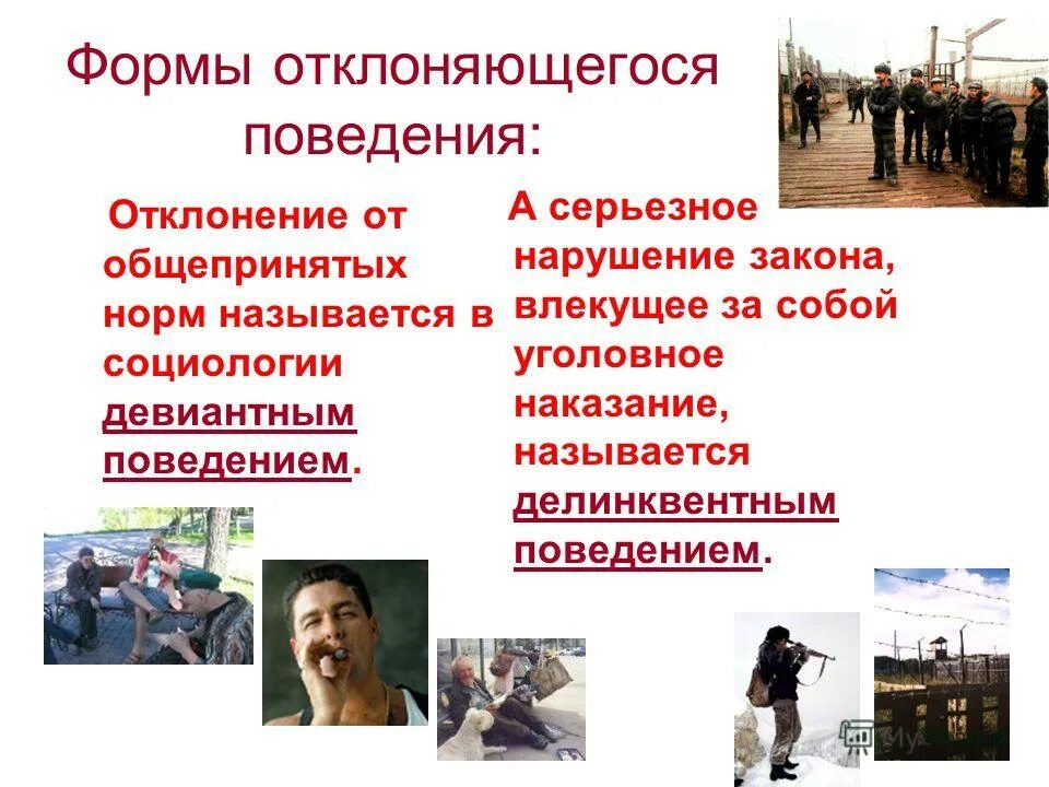 отклонение человека от общепринятых норм. девиантное поведение схема. позитивные и негативные отклонения. дивидендное поведение. окдоняющие ся поведение.