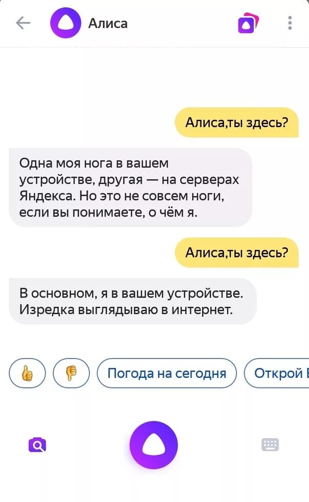 Алиса ты знала что есть. Популярные вопросы Алисе. Алиса ответы на вопросы. Смешные ответы Алисы.