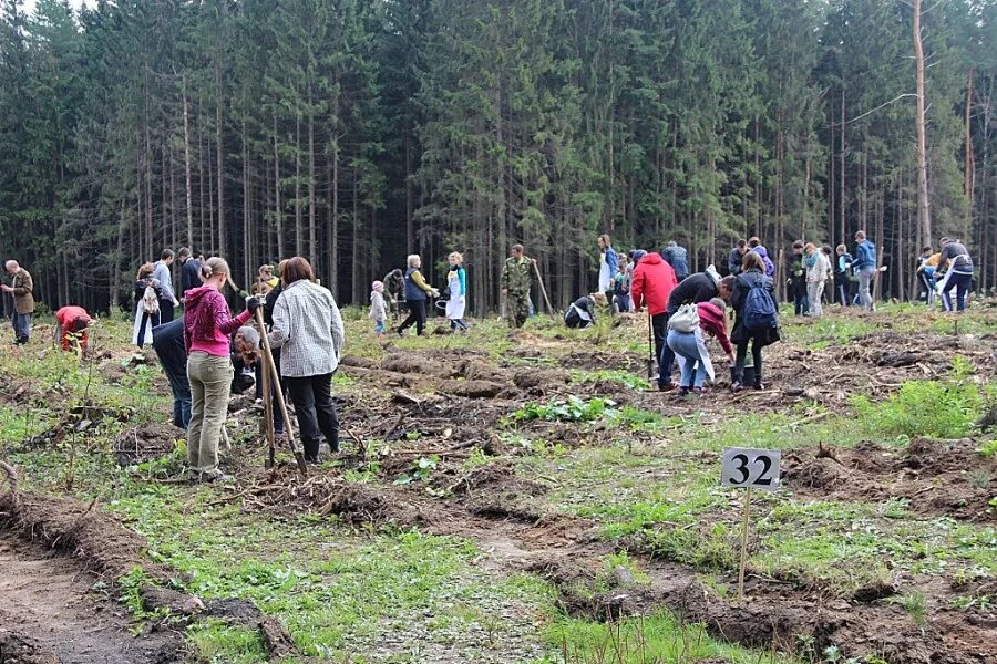 Глебовский посёлок КПЦ Преображение. КПЦ Преображение Преображенское братство. Глебовский лес. Зарегестрированные в посёлке Глебовском. Погода в глебовском новороссийск