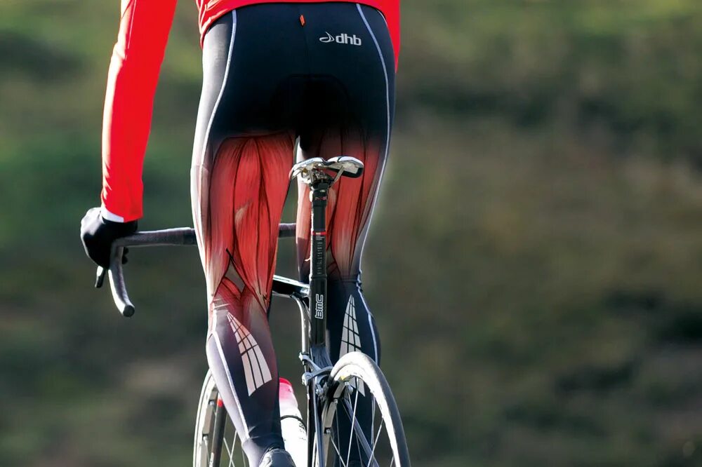 Мышцы задействованные при езде на велосипеде. Езда на велосипеде мышцы. Мышцы при езде на велосипеде. Группы мышц задействованные при езде на велосипеде. Велосипед мышцы.